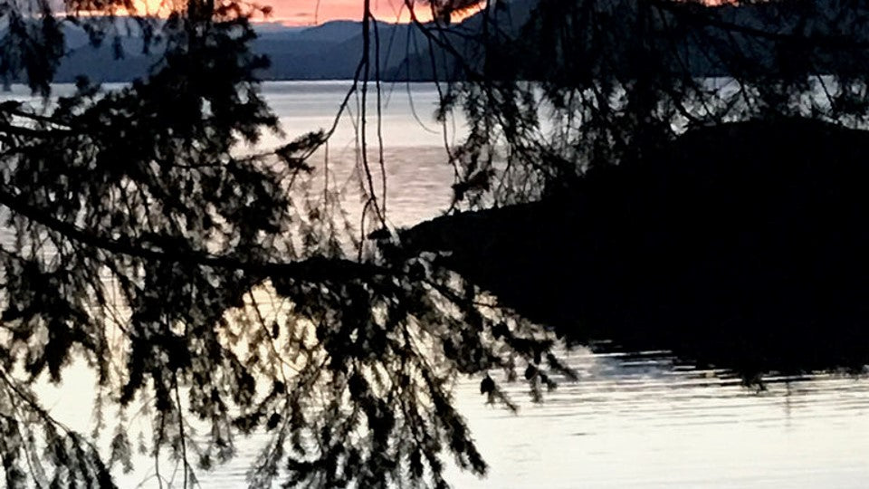 image of bay at dusk with tree overhange 